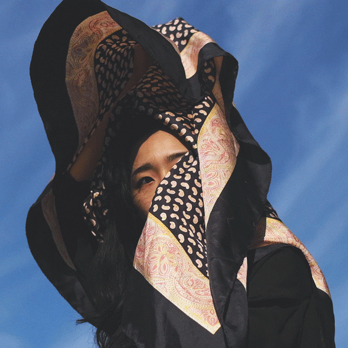 GIF leGlaronais fotografiert von Benjakon  für le Foulard Schweiz.